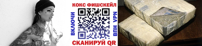 Cocaine FishScale  Купить закладки  Гусев 