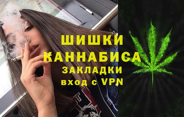 хмурый Инта