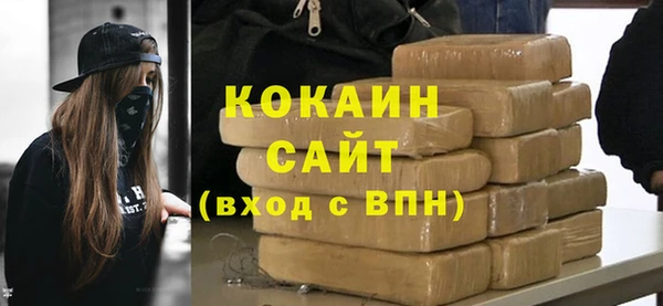 хмурый Инта