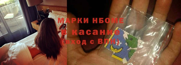 хмурый Инта