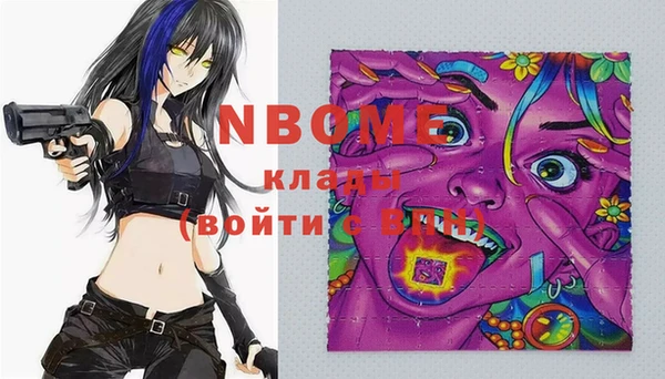 хмурый Инта