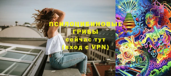 хмурый Инта
