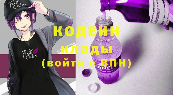 хмурый Инта
