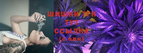 хмурый Инта
